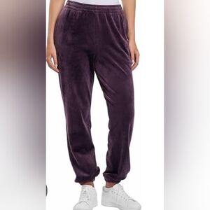 Lazypants Purple Velvet Ankle Jogger sweatpants, Women's Size Small